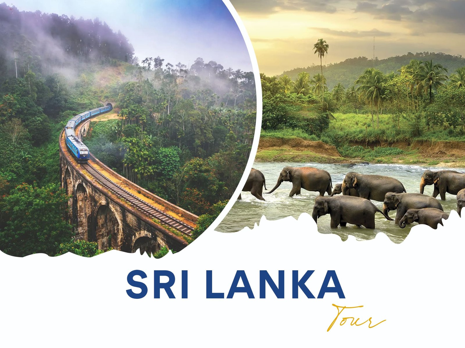 Sri-Lanka Tour